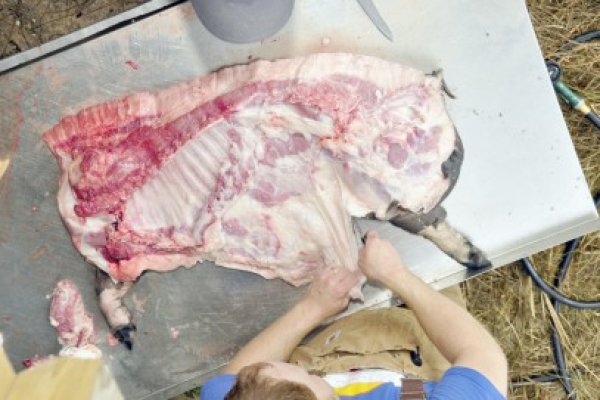 Suspiciunea de trichineloză: autorităţile nu s-au lămurit care este situaţia